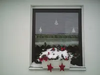 Fenster.webp