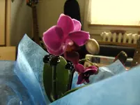 Bild 018.webp