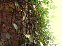 Bild 009.webp