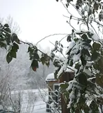 PC305343 2010-12-30 Dezemberhimmel.webp
