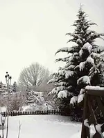 PC305341 2010-12-30 Garten.webp
