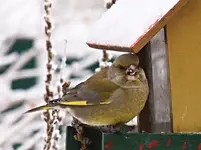 PC304945 2010-12-30 mir schmeckts.webp