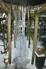 DSC02420.webp