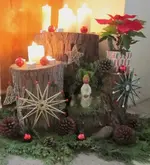 Dezember 2010 091v.webp