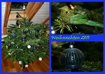 Hopfals Baumkl.webp