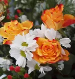 PC315360 21 mal 21.webp