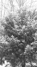 IMG_3607.webp
