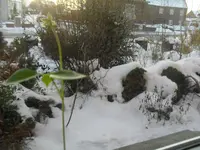 SAM_4299.webp