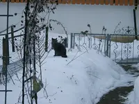 DSCF4747.webp