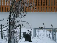DSCF4749.webp