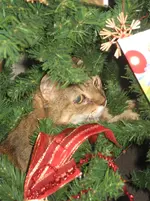 IMG_3608.webp