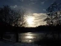 P1070030.webp