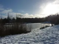 P1070026.webp