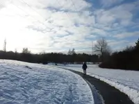 P1070020.webp