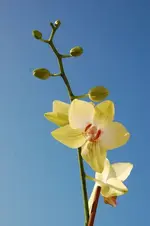 DSC_7499.webp