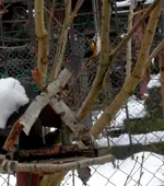SDC12981-1.webp