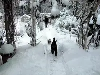 SDC12945.webp