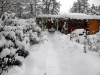 SDC12954.webp