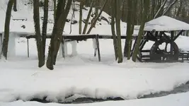 IMG_3641.webp