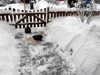 SDC12923.webp