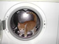 DSCN1631.webp