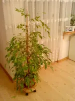 DSC01967.webp