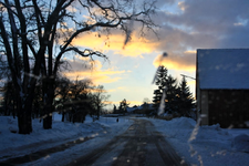03.01 (2).webp