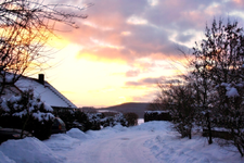03.01 (6).webp