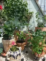 DSCF0916.webp