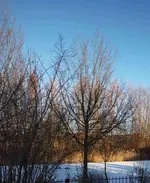 P1025655.webp