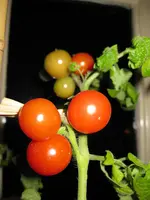 IMG_1389.webp