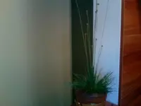 Foto 5.webp