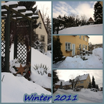 Collage I.webp