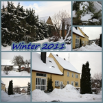Collage II.webp