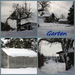 Collage III.webp