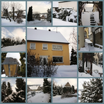 Collage IV.webp