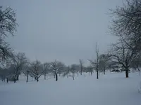 DSC03140.webp