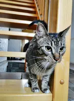 DSC00561.webp