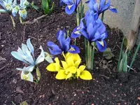 30.03 (107).webp