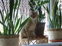 03110018.webp