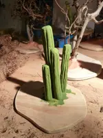 Krippenbotanik 002.webp