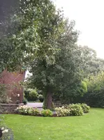 DSCF4071.webp