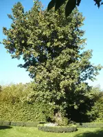 DSCF4126.webp
