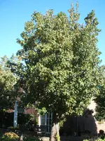 DSCF4127.webp