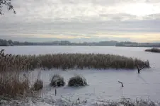Gefrorener See.webp