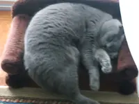 DSCF4756.webp