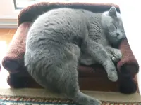 DSCF4758.webp