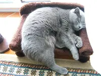 DSCF4759.webp