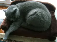 DSCF4761.webp