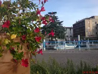 DSC00726.webp